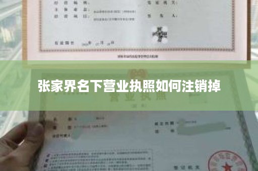 张家界名下营业执照如何注销掉