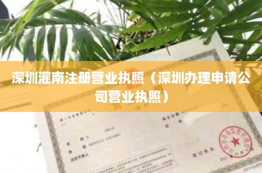 深圳灌南注册营业执照（深圳办理申请公司营业执照）