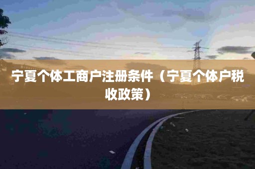 宁夏个体工商户注册条件（宁夏个体户税收政策）