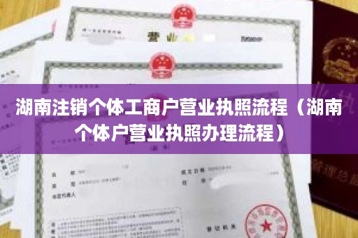 湖南注销个体工商户营业执照流程（湖南个体户营业执照办理流程）