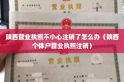 陕西营业执照不小心注销了怎么办（陕西个体户营业执照注销）