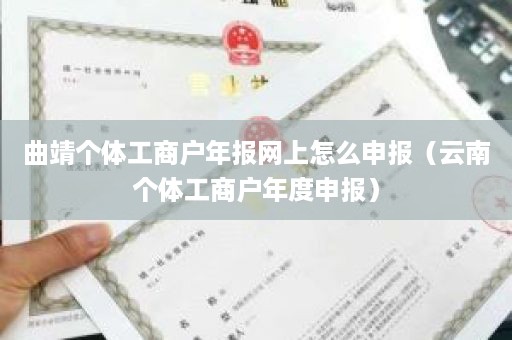 曲靖个体工商户年报网上怎么申报（云南个体工商户年度申报）