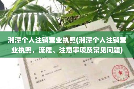 湘潭个人注销营业执照(湘潭个人注销营业执照，流程、注意事项及常见问题)