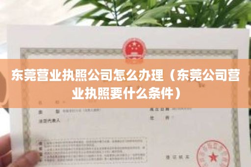 东莞营业执照公司怎么办理（东莞公司营业执照要什么条件）