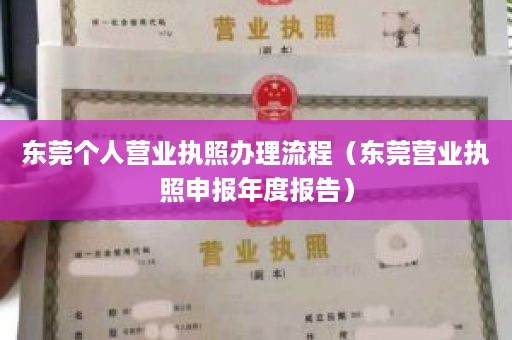 东莞个人营业执照办理流程（东莞营业执照申报年度报告）