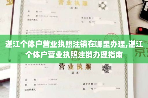 湛江个体户营业执照注销在哪里办理,湛江个体户营业执照注销办理指南