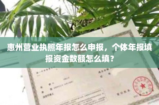 惠州营业执照年报怎么申报，个体年报填报资金数额怎么填？