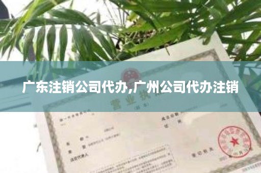 广东注销公司代办,广州公司代办注销