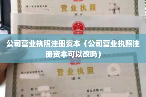 公司营业执照注册资本（公司营业执照注册资本可以改吗）