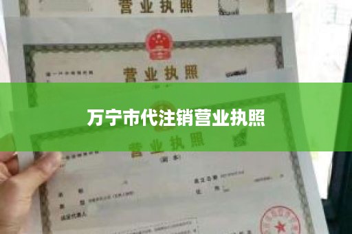 万宁市代注销营业执照