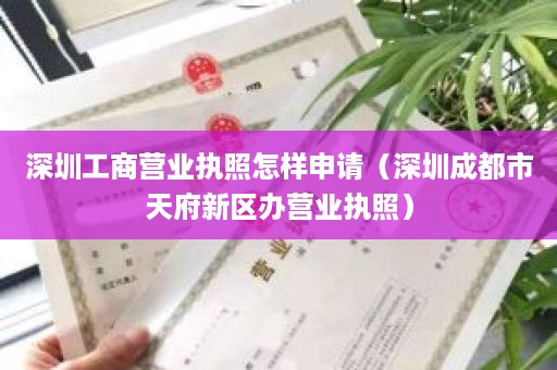 深圳工商营业执照怎样申请（深圳成都市天府新区办营业执照）