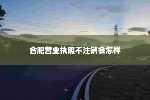 合肥营业执照不注销会怎样