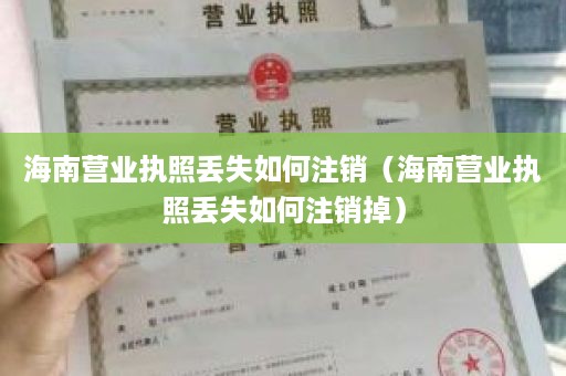 海南营业执照丢失如何注销（海南营业执照丢失如何注销掉）