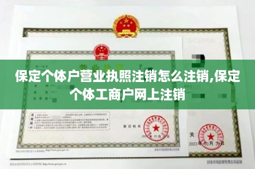 保定个体户营业执照注销怎么注销,保定个体工商户网上注销