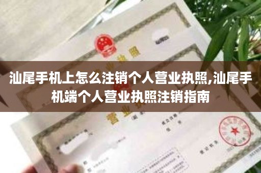 汕尾手机上怎么注销个人营业执照,汕尾手机端个人营业执照注销指南