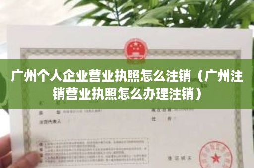 广州个人企业营业执照怎么注销（广州注销营业执照怎么办理注销）