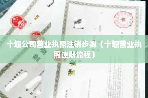 十堰公司营业执照注销步骤（十堰营业执照注册流程）