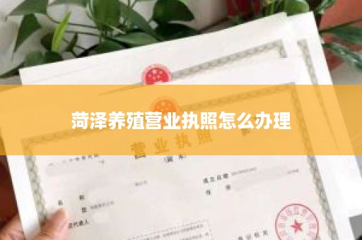 菏泽养殖营业执照怎么办理