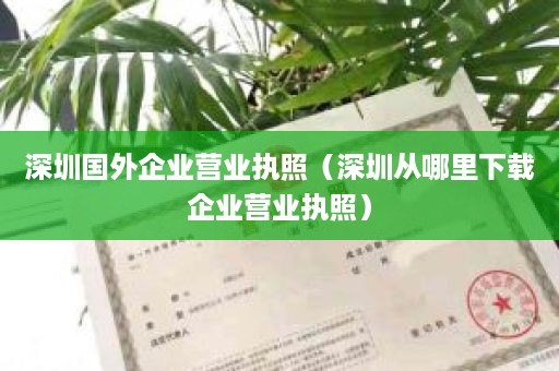 深圳国外企业营业执照（深圳从哪里下载企业营业执照）