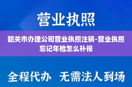 韶关市办理公司营业执照注销-营业执照忘记年检怎么补报