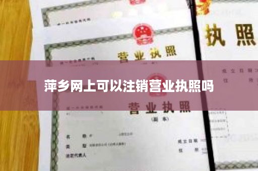 萍乡网上可以注销营业执照吗