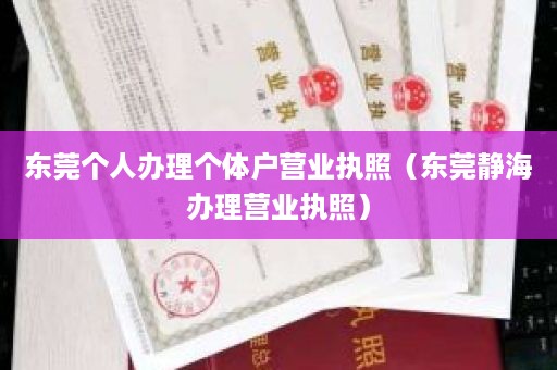 东莞个人办理个体户营业执照（东莞静海办理营业执照）