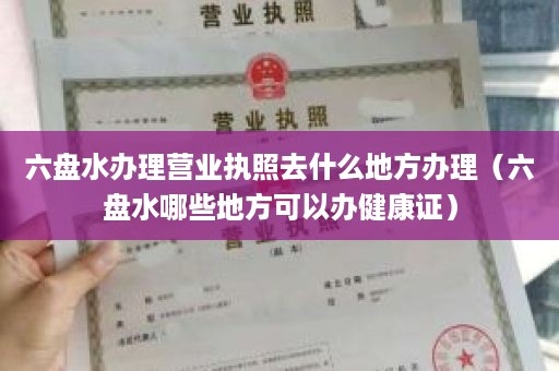 六盘水办理营业执照去什么地方办理（六盘水哪些地方可以办健康证）