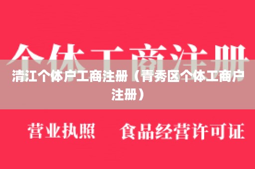 清江个体户工商注册（青秀区个体工商户注册）