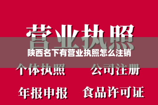 陕西名下有营业执照怎么注销