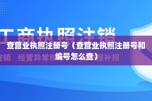 查营业执照注册号（查营业执照注册号和编号怎么查）