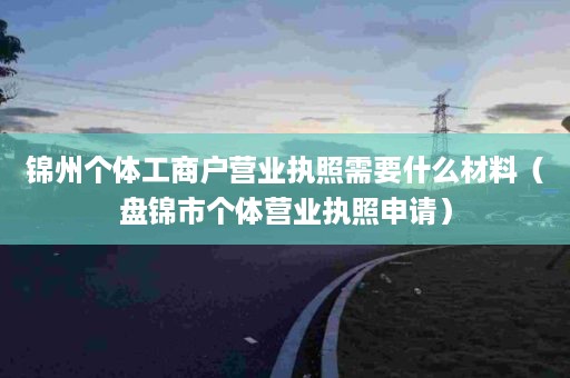 锦州个体工商户营业执照需要什么材料（盘锦市个体营业执照申请）