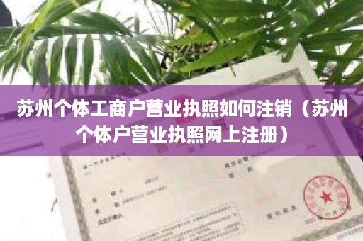 苏州个体工商户营业执照如何注销（苏州个体户营业执照网上注册）