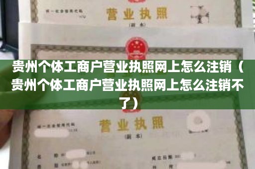 贵州个体工商户营业执照网上怎么注销（贵州个体工商户营业执照网上怎么注销不了）