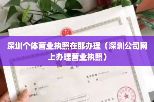 深圳个体营业执照在那办理（深圳公司网上办理营业执照）