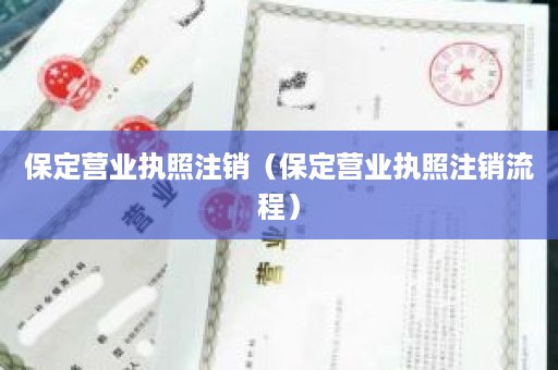 保定营业执照注销（保定营业执照注销流程）