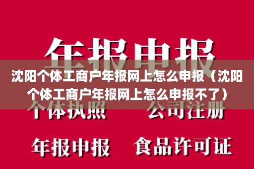 沈阳个体工商户年报网上怎么申报（沈阳个体工商户年报网上怎么申报不了）