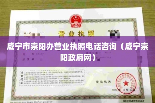 咸宁市崇阳办营业执照电话咨询（咸宁崇阳政府网）