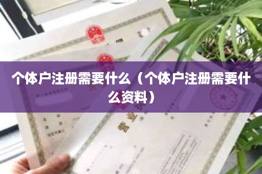 个体户注册需要什么（个体户注册需要什么资料）