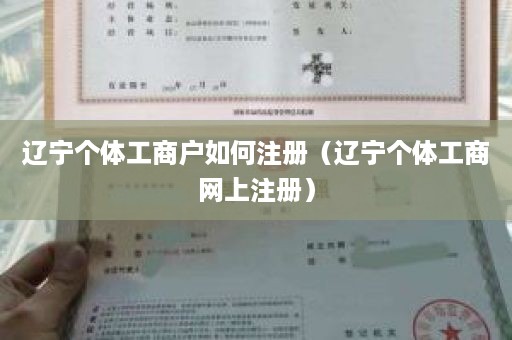 辽宁个体工商户如何注册（辽宁个体工商网上注册）