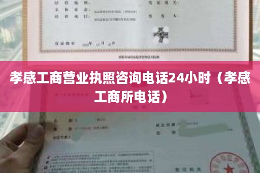 孝感工商营业执照咨询电话24小时（孝感工商所电话）