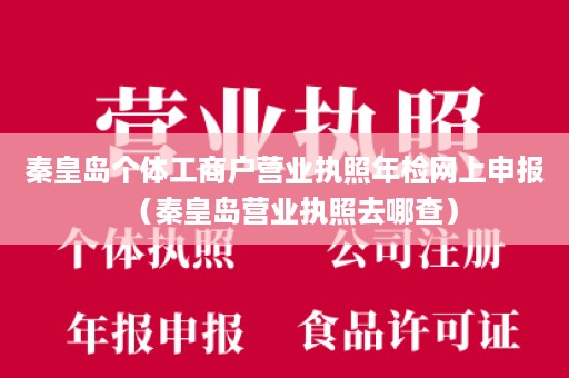 秦皇岛个体工商户营业执照年检网上申报（秦皇岛营业执照去哪查）