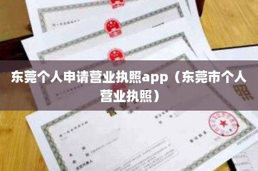 东莞个人申请营业执照app（东莞市个人营业执照）