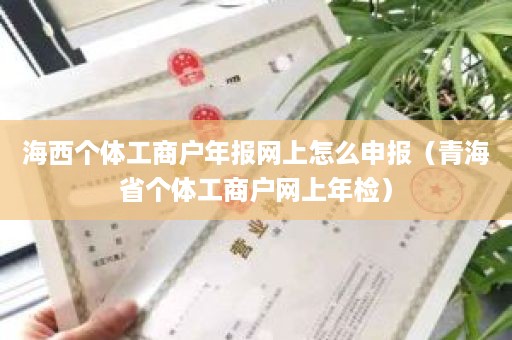 海西个体工商户年报网上怎么申报（青海省个体工商户网上年检）