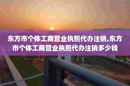 东方市个体工商营业执照代办注销,东方市个体工商营业执照代办注销多少钱