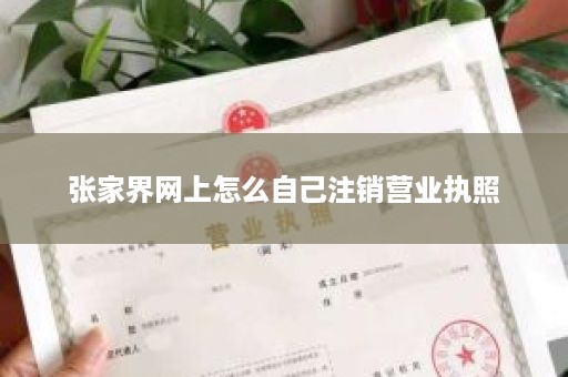 张家界网上怎么自己注销营业执照