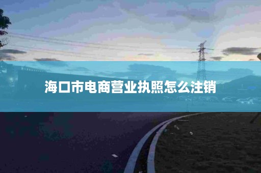 海口市电商营业执照怎么注销