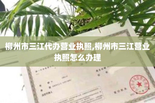 柳州市三江代办营业执照,柳州市三江营业执照怎么办理