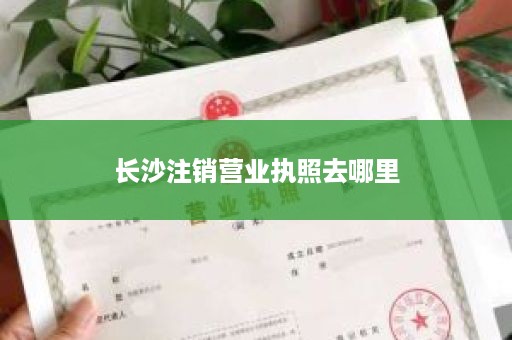 长沙注销营业执照去哪里