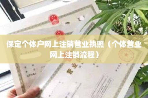 保定个体户网上注销营业执照（个体营业网上注销流程）