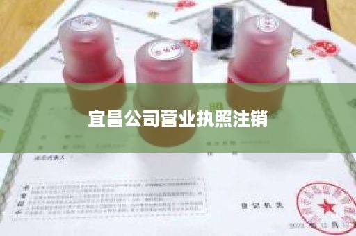 宜昌公司营业执照注销